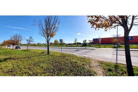 Helårsgrund i Evora, Evora, Evora - € 1.500.000 | Ref: TER_2549 - foto 9