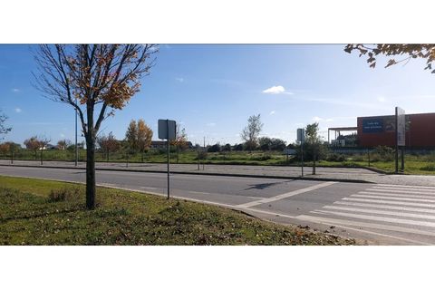 Helårsgrund i Evora, Evora, Evora - € 1.500.000 | Ref: TER_2549 - foto 10