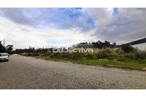 Helårsgrund i Vila do Conde, Porto, Vila do Conde - € 2.523.460 | Ref: RO1618 - foto 6