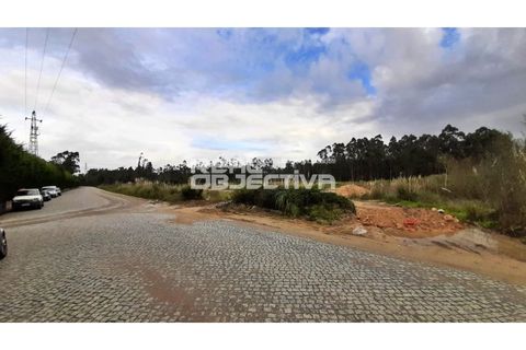 Helårsgrund i Vila do Conde, Porto, Vila do Conde - € 2.523.460 | Ref: RO1618 - foto 10