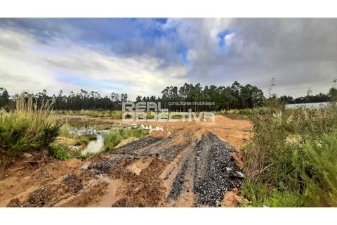 Helårsgrund i Vila do Conde, Porto, Vila do Conde - € 2.523.460 | Ref: RO1618 - foto 11