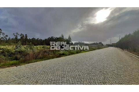 Helårsgrund i Vila do Conde, Porto, Vila do Conde - € 2.523.460 | Ref: RO1618 - foto 9