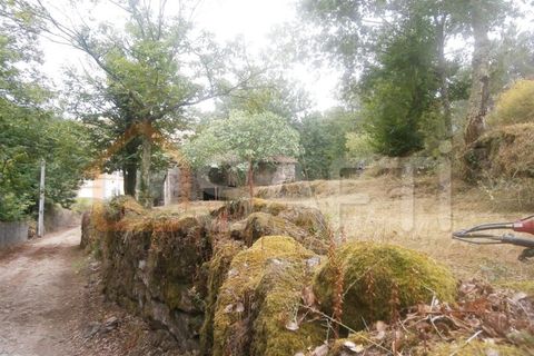 Farm i Braga, Braga, Braga - € 100.000 | Ref: SAFTI:001978 - foto 2