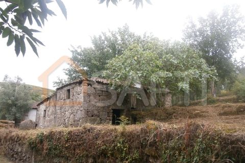 Farm i Braga, Braga, Braga - € 100.000 | Ref: SAFTI:001978 - foto 3