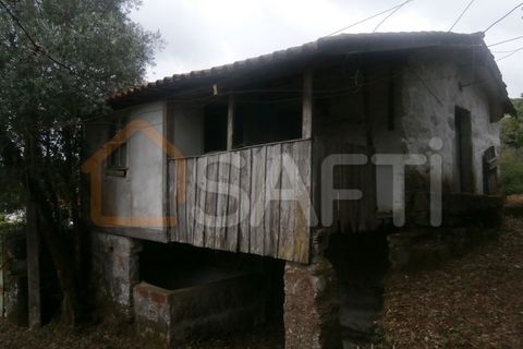 Farm i Braga, Braga, Braga - € 100.000 | Ref: SAFTI:001978 - foto 4