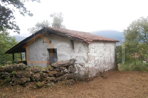 Farm i Braga, Braga, Braga - € 100.000 | Ref: SAFTI:001978 - foto 5