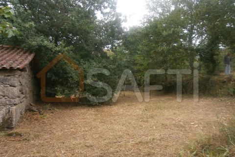Farm i Braga, Braga, Braga - € 100.000 | Ref: SAFTI:001978 - foto 7