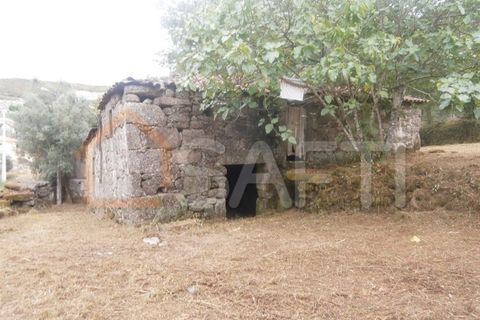 Farm i Braga, Braga, Braga - € 100.000 | Ref: SAFTI:001978 - foto 9