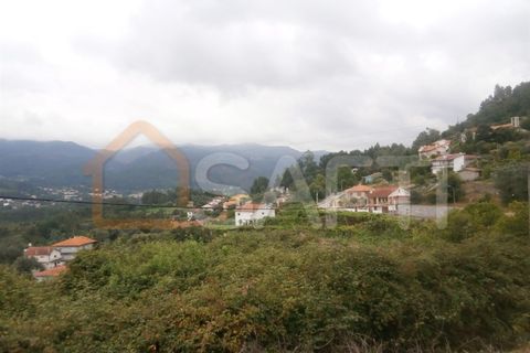 Farm i Braga, Braga, Braga - € 100.000 | Ref: SAFTI:001978 - foto 10