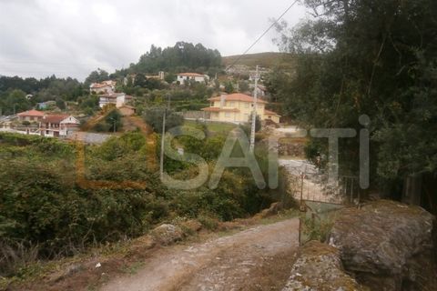 Farm i Braga, Braga, Braga - € 100.000 | Ref: SAFTI:001978 - foto 11