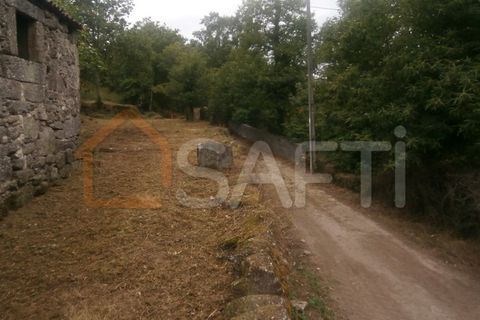 Farm i Braga, Braga, Braga - € 100.000 | Ref: SAFTI:001978 - foto 12