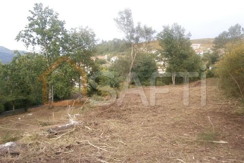 Farm i Braga, Braga, Braga - € 100.000 | Ref: SAFTI:001978 - foto 14