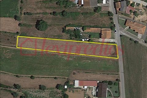 Helårsgrund i Agueda, Aveiro, Agueda - € 50.000 | Ref: AG 3950 - foto 2