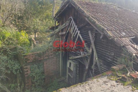Villa i Viseu, Viseu, Viseu - € 65.000 | Ref: 189222409 - foto 3