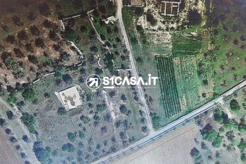 Terra a Galatone, Lecce, Galatone - € 20.000 | Ref: LIH-1196 - foto 2