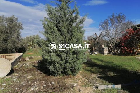 Terra a Galatone, Lecce, Galatone - € 20.000 | Ref: LIH-1196 - foto 3