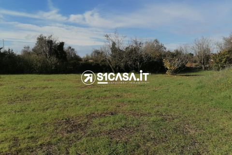 Terra a Galatone, Lecce, Galatone - € 20.000 | Ref: LIH-1196 - foto 5