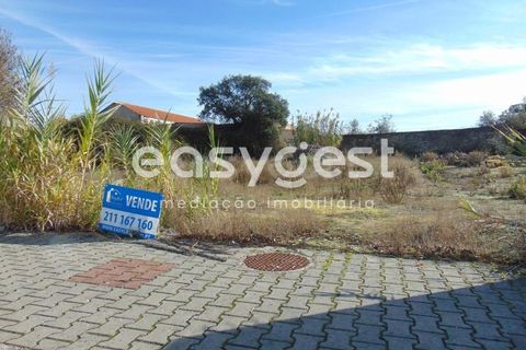 Helårsgrund i Alcains, Castelo Branco, Alcains - € 46.000 | Ref: CB90715MA - foto 2
