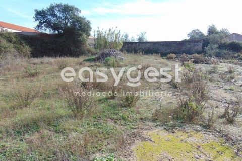 Helårsgrund i Alcains, Castelo Branco, Alcains - € 46.000 | Ref: CB90715MA - foto 4
