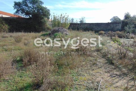 Helårsgrund i Alcains, Castelo Branco, Alcains - € 46.000 | Ref: CB90715MA - foto 5