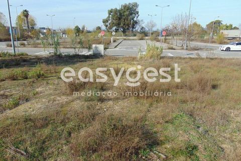 Helårsgrund i Alcains, Castelo Branco, Alcains - € 46.000 | Ref: CB90715MA - foto 15