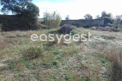 Helårsgrund i Alcains, Castelo Branco, Alcains - € 46.000 | Ref: CB90715MA - foto 17