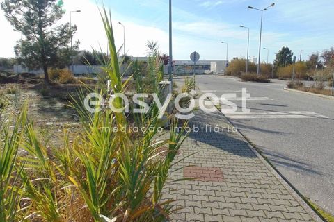 Helårsgrund i Alcains, Castelo Branco, Alcains - € 46.000 | Ref: CB90715MA - foto 19