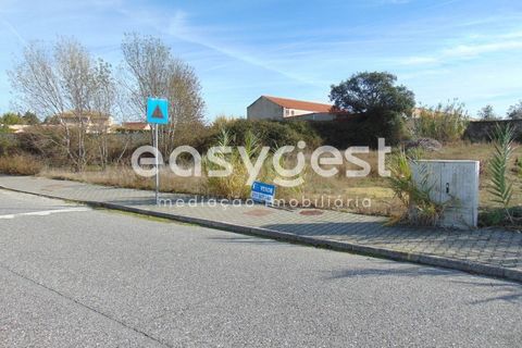 Helårsgrund i Alcains, Castelo Branco, Alcains - € 46.000 | Ref: CB90715MA - foto 22