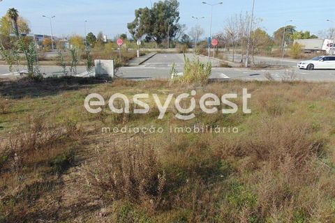 Helårsgrund i Alcains, Castelo Branco, Alcains - € 46.000 | Ref: CB90715MA - foto 32