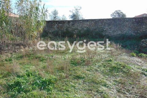 Helårsgrund i Alcains, Castelo Branco, Alcains - € 46.000 | Ref: CB90715MA - foto 33