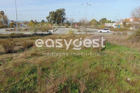 Helårsgrund i Alcains, Castelo Branco, Alcains - € 46.000 | Ref: CB90715MA - foto 34