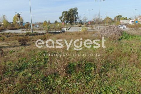 Helårsgrund i Alcains, Castelo Branco, Alcains - € 46.000 | Ref: CB90715MA - foto 37