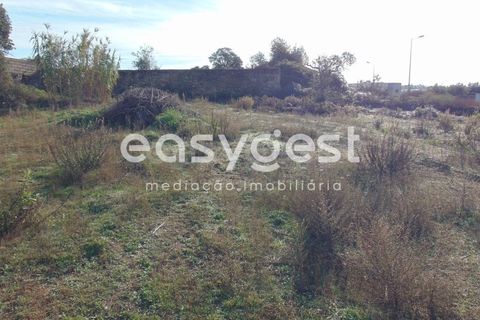 Helårsgrund i Alcains, Castelo Branco, Alcains - € 46.000 | Ref: CB90715MA - foto 42
