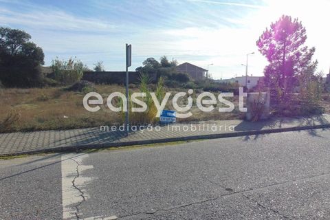 Helårsgrund i Alcains, Castelo Branco, Alcains - € 46.000 | Ref: CB90715MA - foto 44