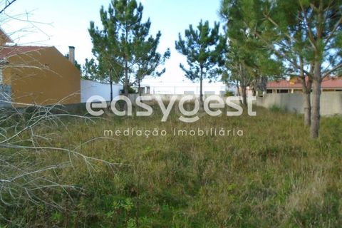 Helårsgrund i Pataias, Leiria, Pataias - € 170.000 | Ref: LE90759NZ - foto 5