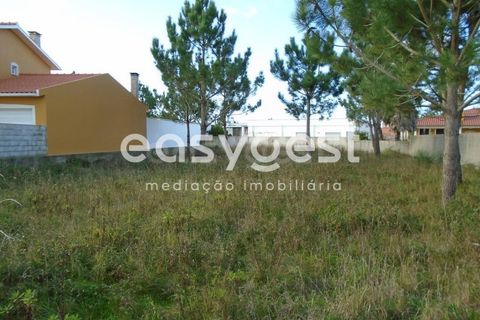 Helårsgrund i Pataias, Leiria, Pataias - € 170.000 | Ref: LE90759NZ - foto 10