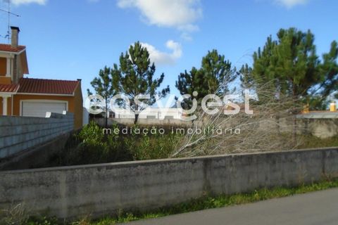 Helårsgrund i Pataias, Leiria, Pataias - € 170.000 | Ref: LE90759NZ - foto 14
