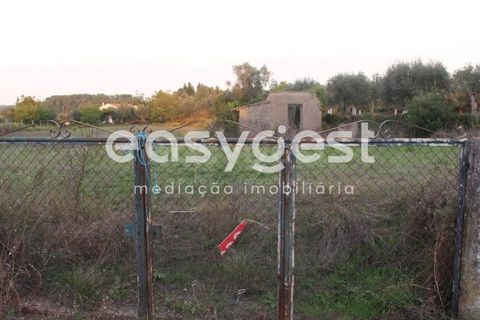 Tomt i Cernache, Coimbra, Cernache - € 95 000 | Ref: RR90700 - foto 2