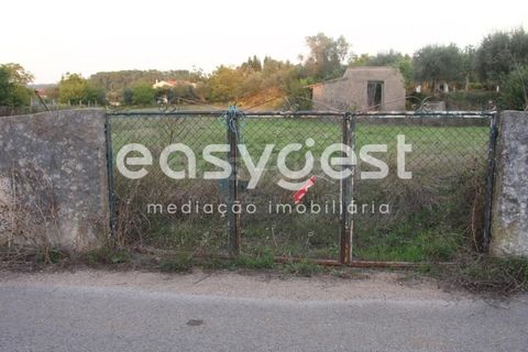 Tomt i Cernache, Coimbra, Cernache - € 95 000 | Ref: RR90700 - foto 3