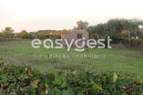 Tomt i Cernache, Coimbra, Cernache - € 95 000 | Ref: RR90700 - foto 4