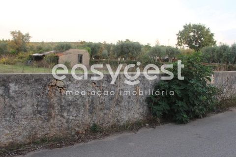 Tomt i Cernache, Coimbra, Cernache - € 95 000 | Ref: RR90700 - foto 6