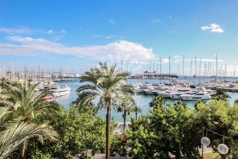 Wohnung in Palma De Mallorca, Mallorca - Foto 4