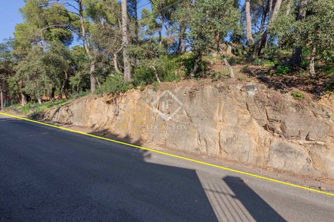 Helårsgrund i Calella De Palafrugell, Gerona - foto 4