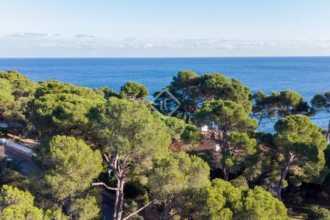 Helårsgrund i Calella De Palafrugell, Gerona - foto 5