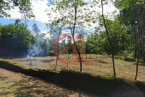 Helårsgrund i Caminha, Viana do Castelo, Caminha - € 120.000 | Ref: TER_1027 - foto 3