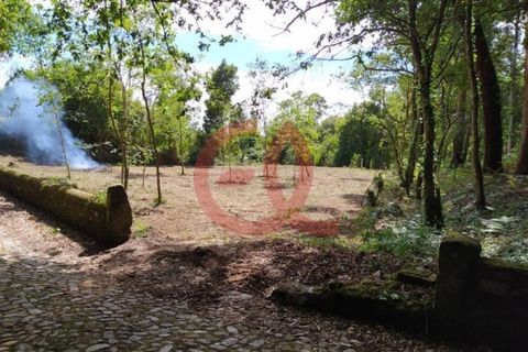 Helårsgrund i Caminha, Viana do Castelo, Caminha - € 120.000 | Ref: TER_1027 - foto 2