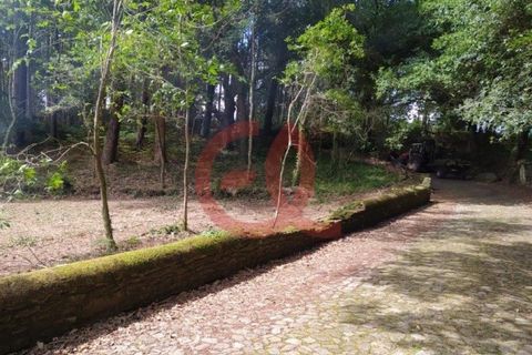 Helårsgrund i Caminha, Viana do Castelo, Caminha - € 120.000 | Ref: TER_1027 - foto 7