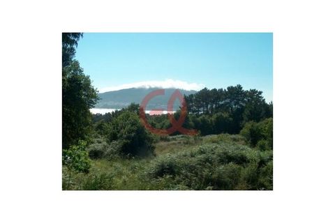 Helårsgrund i Caminha, Viana do Castelo, Caminha - € 120.000 | Ref: TER_1027 - foto 9