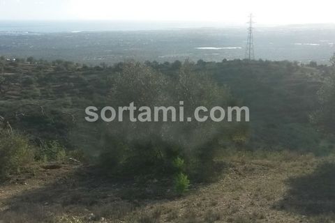 Helårsgrund i Faro, Faro, Faro - € 199.000 | Ref: Sort18967 - foto 2