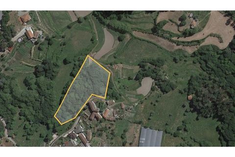 Landejendom i Celorico de Basto, Braga, Celorico de Basto - € 52.000 | Ref: CAS_1173 - foto 9